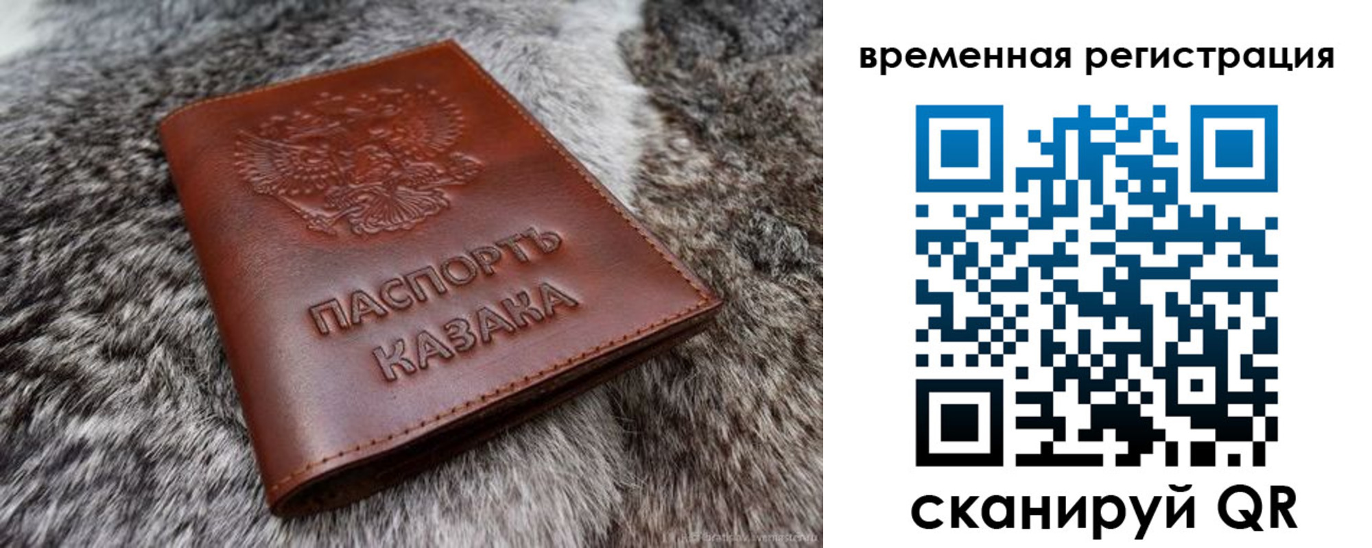 прописка 2025 в Сасово
